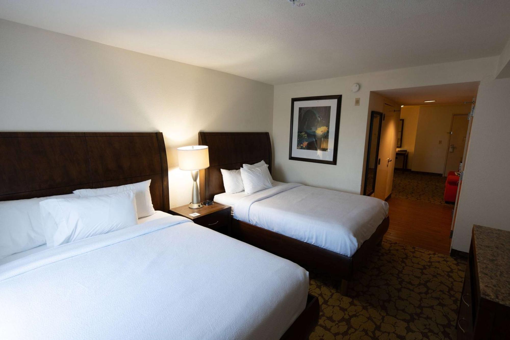 فندق Wyndham Garden New Orleans Airport كينير المظهر الخارجي الصورة